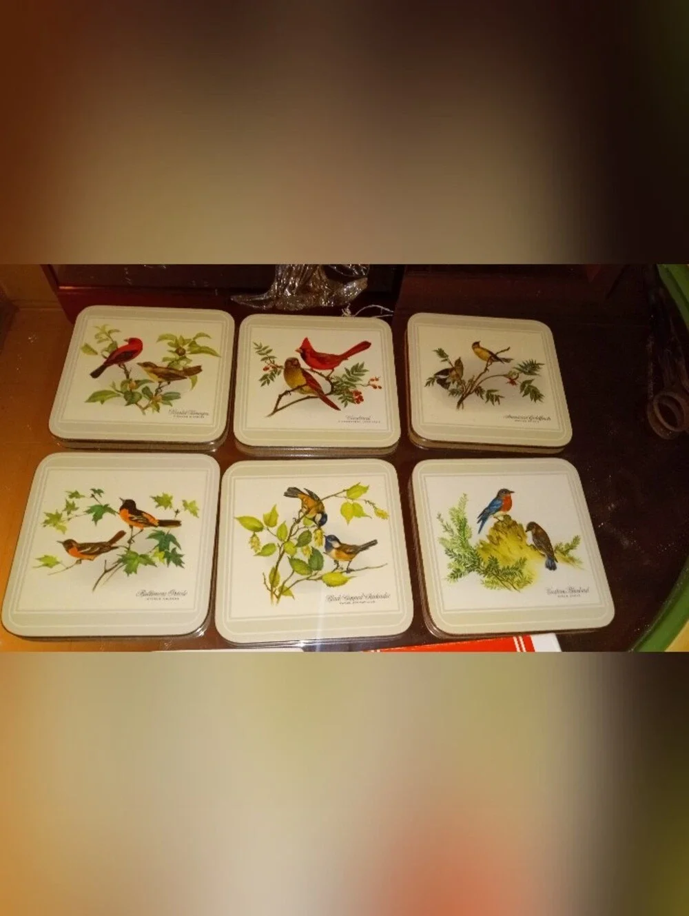 Vintage Pimpernel Acrylic Coasters Set of 6 - North American Song Birds w/ Box